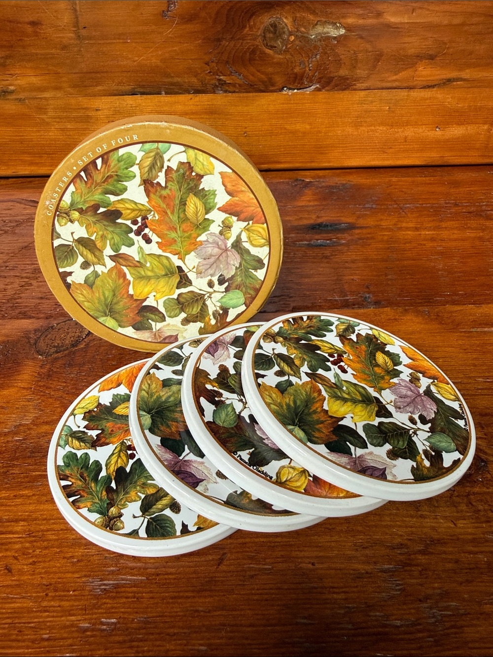 🍃 Autumn Leaves Ceramic Coaster Set - Multicolor